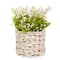 11" Lily-Of-The-Valley Flowers In White Basket
